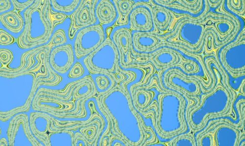 Kreacje kartograficzne: Mapa polskiego Pomorza w sztuce renesansowej